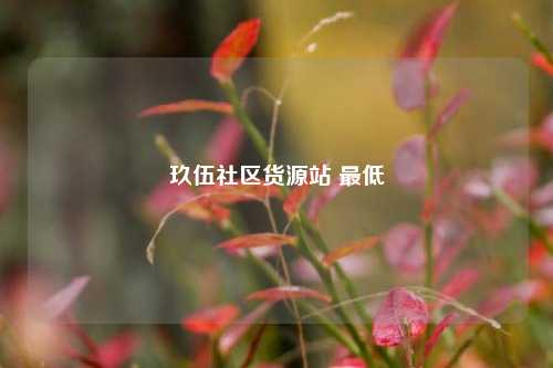 玖伍社区货源站 最低  第1张