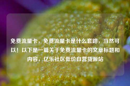 免费流量卡	，免费流量卡是什么套路，当然可以！以下是一篇关于免费流量卡的文章标题和内容，亿乐社区低价自营货源站  第1张