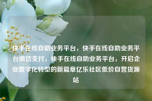 快手在线自助业务平台，快手在线自助业务平台微信支付，快手在线自助业务平台	，开启企业数字化转型的新篇章亿乐社区低价自营货源站  第1张