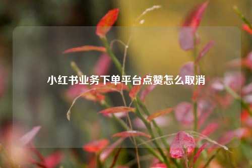 小红书业务下单平台点赞怎么取消  第1张