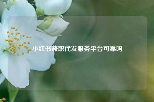 小红书兼职代发服务平台可靠吗  第1张