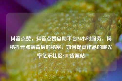 抖音点赞，抖音点赞自助平台24小时服务，揭秘抖音点赞背后的秘密	，如何提高作品的曝光率亿乐社区SUP货源站  第1张