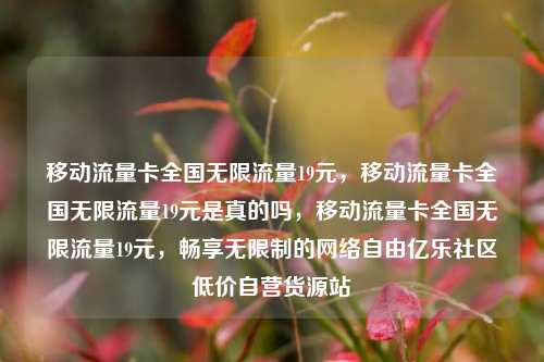 移动流量卡全国无限流量19元，移动流量卡全国无限流量19元是真的吗，移动流量卡全国无限流量19元	，畅享无限制的网络自由亿乐社区低价自营货源站  第1张
