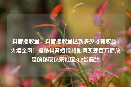 抖音播放量，抖音播放量达到多少才有收益，火爆全网！揭秘抖音短视频如何实现百万播放量的秘密亿乐社区SUP货源站  第1张