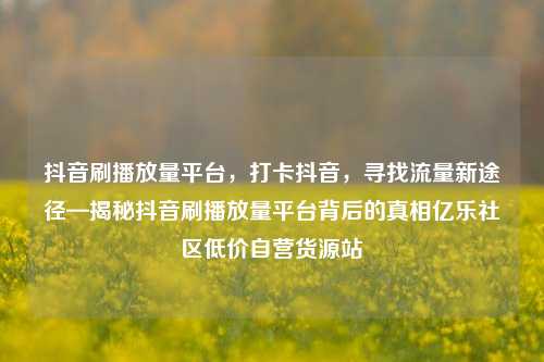 抖音刷播放量平台	，打卡抖音，寻找流量新途径—揭秘抖音刷播放量平台背后的真相亿乐社区低价自营货源站  第1张