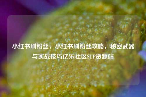 小红书刷粉丝	，小红书刷粉丝攻略，秘密武器与实战技巧亿乐社区SUP货源站  第1张