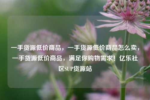 一手货源低价商品，一手货源低价商品怎么卖	，一手货源低价商品，满足你购物需求！亿乐社区SUP货源站  第1张