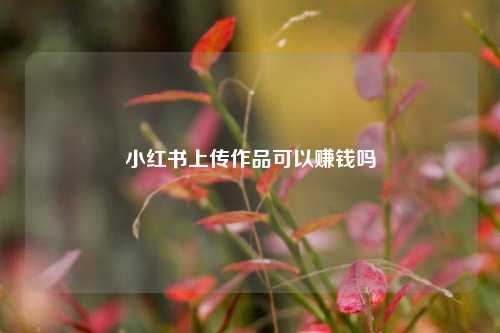 小红书上传作品可以赚钱吗  第1张