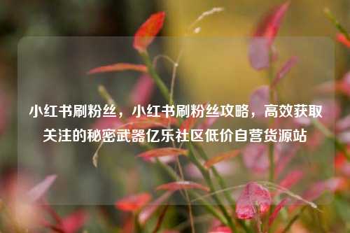 小红书刷粉丝，小红书刷粉丝攻略，高效获取关注的秘密武器亿乐社区低价自营货源站  第1张