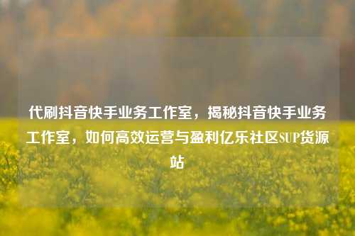 代刷抖音快手业务工作室	，揭秘抖音快手业务工作室，如何高效运营与盈利亿乐社区SUP货源站  第1张