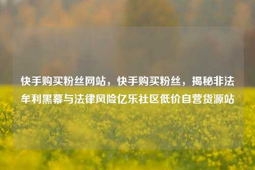 快手购买粉丝网站，快手购买粉丝，揭秘非法牟利黑幕与法律风险亿乐社区低价自营货源站  第1张