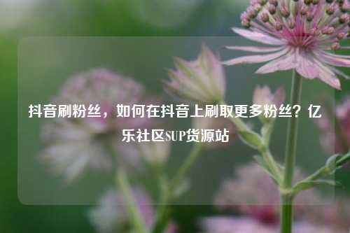 抖音刷粉丝	，如何在抖音上刷取更多粉丝？亿乐社区SUP货源站  第1张