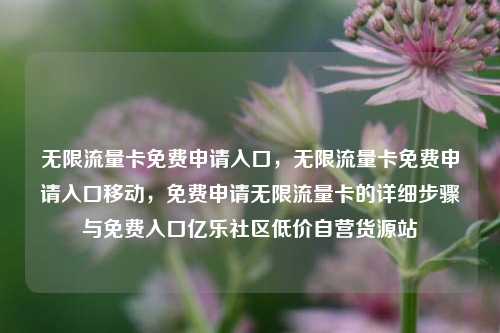 无限流量卡免费申请入口，无限流量卡免费申请入口移动	，免费申请无限流量卡的详细步骤与免费入口亿乐社区低价自营货源站  第1张