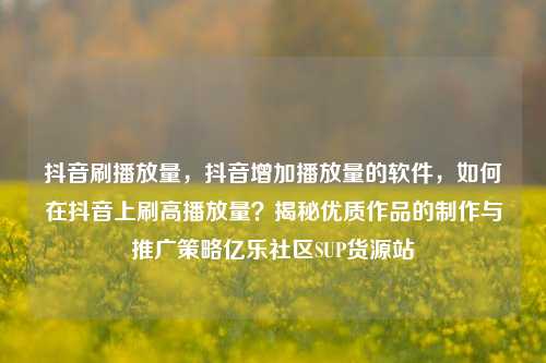 抖音刷播放量	，抖音增加播放量的软件，如何在抖音上刷高播放量？揭秘优质作品的制作与推广策略亿乐社区SUP货源站  第1张