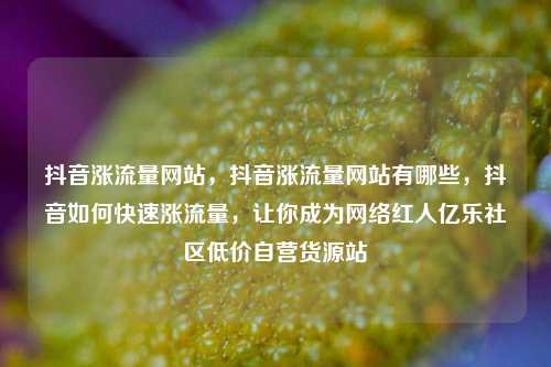 抖音涨流量网站	，抖音涨流量网站有哪些，抖音如何快速涨流量，让你成为网络红人亿乐社区低价自营货源站  第1张