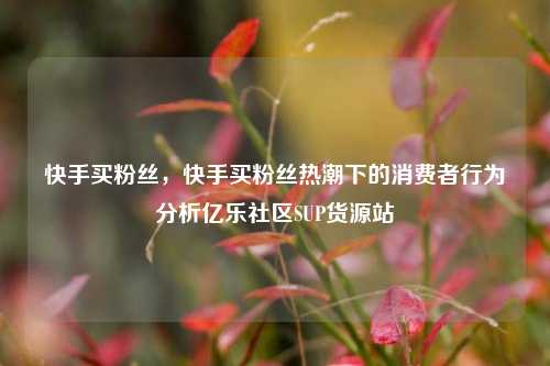 快手买粉丝，快手买粉丝热潮下的消费者行为分析亿乐社区SUP货源站  第1张