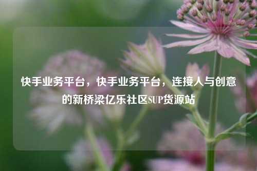 快手业务平台，快手业务平台，连接人与创意的新桥梁亿乐社区SUP货源站  第1张