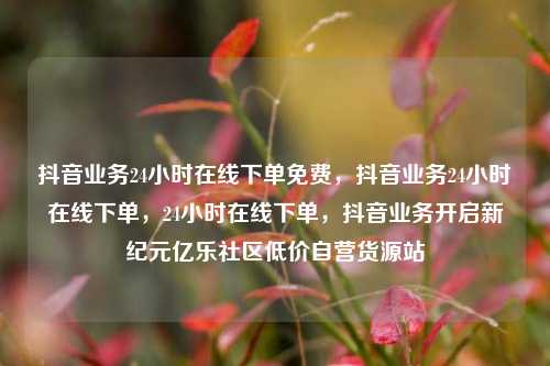 抖音业务24小时在线下单免费	，抖音业务24小时在线下单，24小时在线下单，抖音业务开启新纪元亿乐社区低价自营货源站  第1张