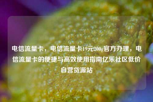 电信流量卡	，电信流量卡19元200g官方办理，电信流量卡的便捷与高效使用指南亿乐社区低价自营货源站  第1张