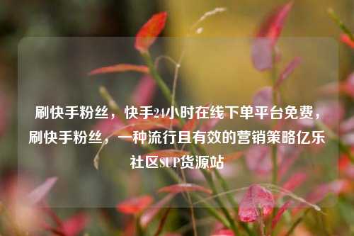 刷快手粉丝，快手24小时在线下单平台免费，刷快手粉丝，一种流行且有效的营销策略亿乐社区SUP货源站  第1张