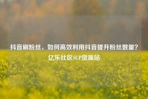 抖音刷粉丝，如何高效利用抖音提升粉丝数量？亿乐社区SUP货源站  第1张