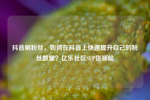 抖音刷粉丝，如何在抖音上快速提升自己的粉丝数量？亿乐社区SUP货源站  第1张