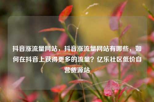 抖音涨流量网站，抖音涨流量网站有哪些，如何在抖音上获得更多的流量？亿乐社区低价自营货源站  第1张