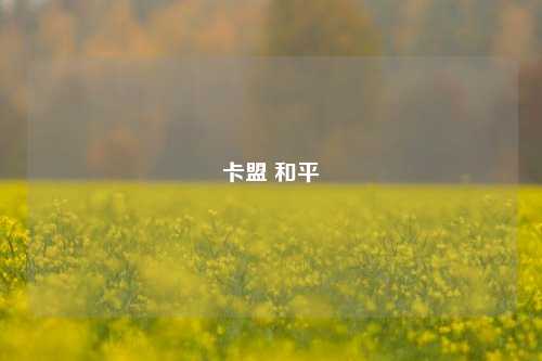 卡盟 和平  第1张