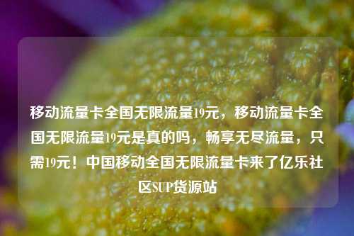 移动流量卡全国无限流量19元	，移动流量卡全国无限流量19元是真的吗，畅享无尽流量，只需19元！中国移动全国无限流量卡来了亿乐社区SUP货源站  第1张