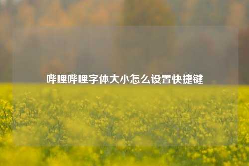 哔哩哔哩字体大小怎么设置快捷键  第1张