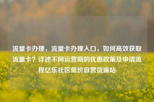 流量卡办理，流量卡办理入口	，如何高效获取流量卡？详述不同运营商的优惠政策及申请流程亿乐社区低价自营货源站  第1张
