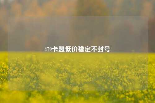 479卡盟低价稳定不封号  第1张