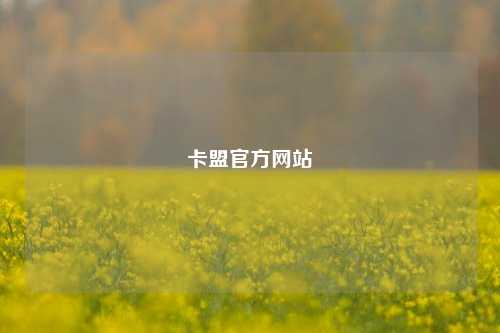 卡盟官方网站  第1张
