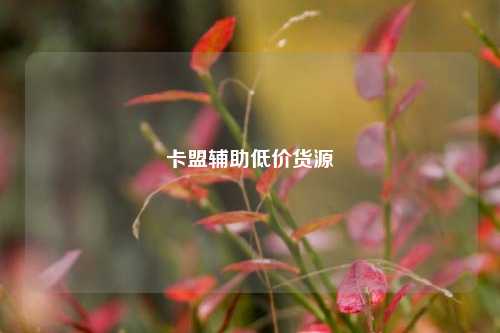 卡盟辅助低价货源  第1张
