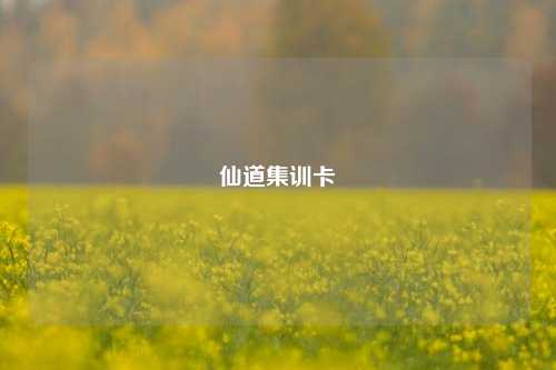 仙道集训卡  第1张