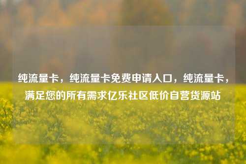 纯流量卡，纯流量卡免费申请入口	，纯流量卡，满足您的所有需求亿乐社区低价自营货源站  第1张