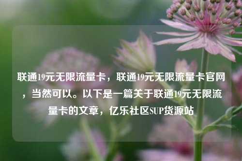 联通19元无限流量卡，联通19元无限流量卡官网，当然可以。以下是一篇关于联通19元无限流量卡的文章	，亿乐社区SUP货源站  第1张