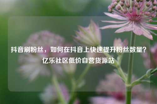 抖音刷粉丝，如何在抖音上快速提升粉丝数量？亿乐社区低价自营货源站  第1张