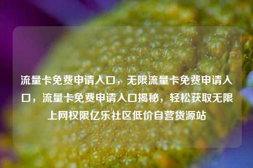 流量卡免费申请入口，无限流量卡免费申请入口	，流量卡免费申请入口揭秘，轻松获取无限上网权限亿乐社区低价自营货源站  第1张