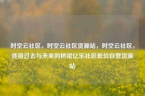 时空云社区，时空云社区货源站	，时空云社区，连接过去与未来的桥梁亿乐社区低价自营货源站  第1张