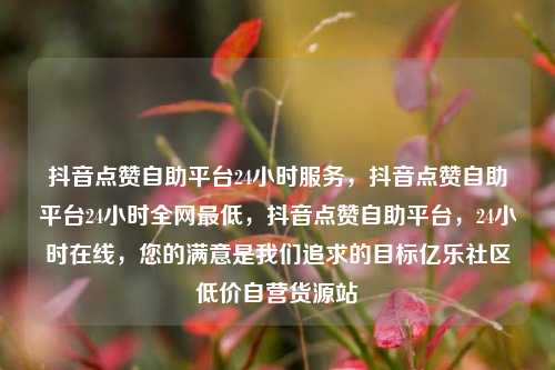 抖音点赞自助平台24小时服务，抖音点赞自助平台24小时全网最低	，抖音点赞自助平台，24小时在线，您的满意是我们追求的目标亿乐社区低价自营货源站  第1张
