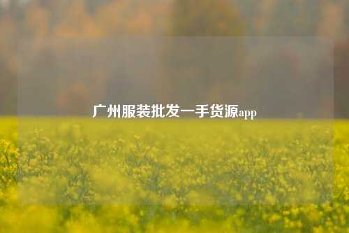 广州服装批发一手货源app  第1张