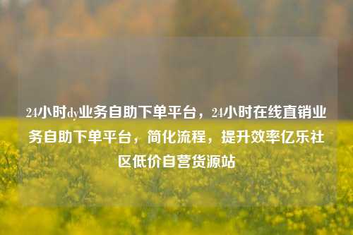 24小时dy业务自助下单平台，24小时在线直销业务自助下单平台，简化流程	，提升效率亿乐社区低价自营货源站  第1张