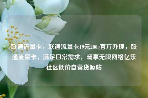 联通流量卡，联通流量卡19元200g官方办理，联通流量卡	，满足日常需求，畅享无限网络亿乐社区低价自营货源站  第1张