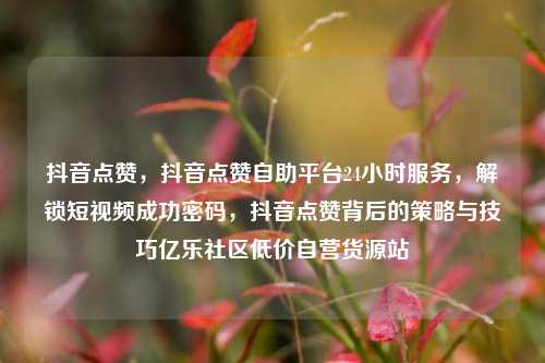抖音点赞	，抖音点赞自助平台24小时服务，解锁短视频成功密码，抖音点赞背后的策略与技巧亿乐社区低价自营货源站  第1张