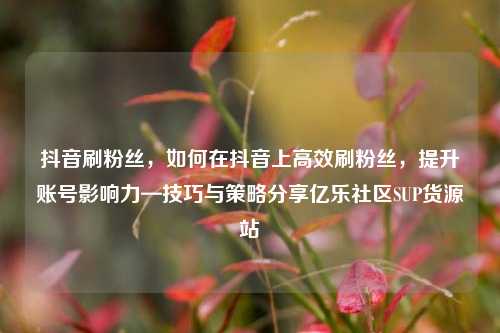 抖音刷粉丝，如何在抖音上高效刷粉丝	，提升账号影响力—技巧与策略分享亿乐社区SUP货源站  第1张