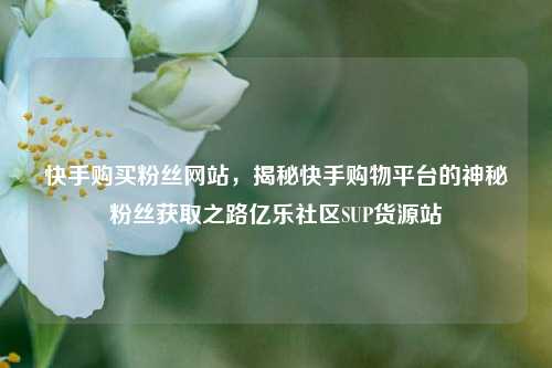 快手购买粉丝网站，揭秘快手购物平台的神秘粉丝获取之路亿乐社区SUP货源站  第1张