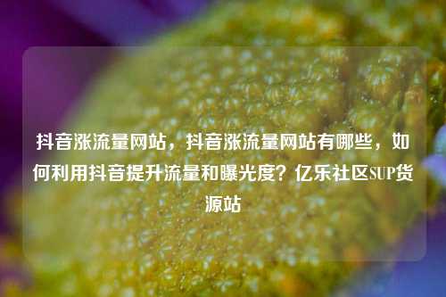 抖音涨流量网站	，抖音涨流量网站有哪些，如何利用抖音提升流量和曝光度？亿乐社区SUP货源站  第1张