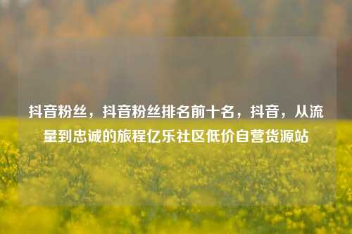 抖音粉丝，抖音粉丝排名前十名	，抖音，从流量到忠诚的旅程亿乐社区低价自营货源站  第1张