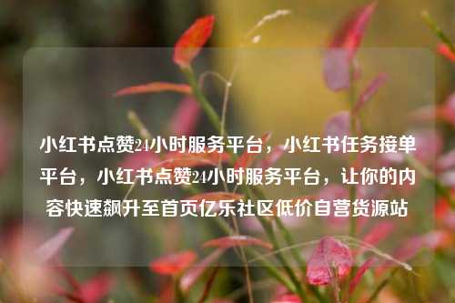 小红书点赞24小时服务平台	，小红书任务接单平台，小红书点赞24小时服务平台，让你的内容快速飙升至首页亿乐社区低价自营货源站  第1张